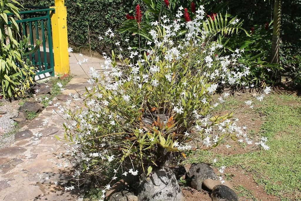 דסהייס Villasticreole גוואדלופ